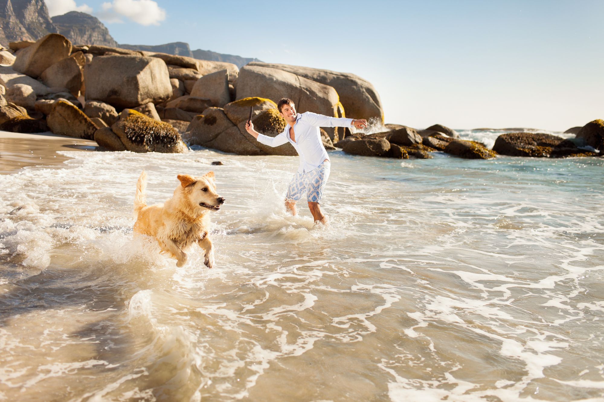 Dog Breeds for Warmer Regions