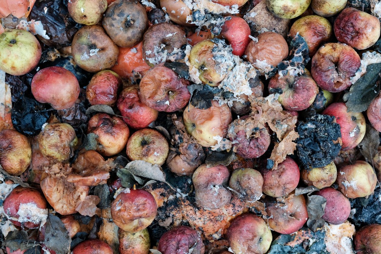 food wastage