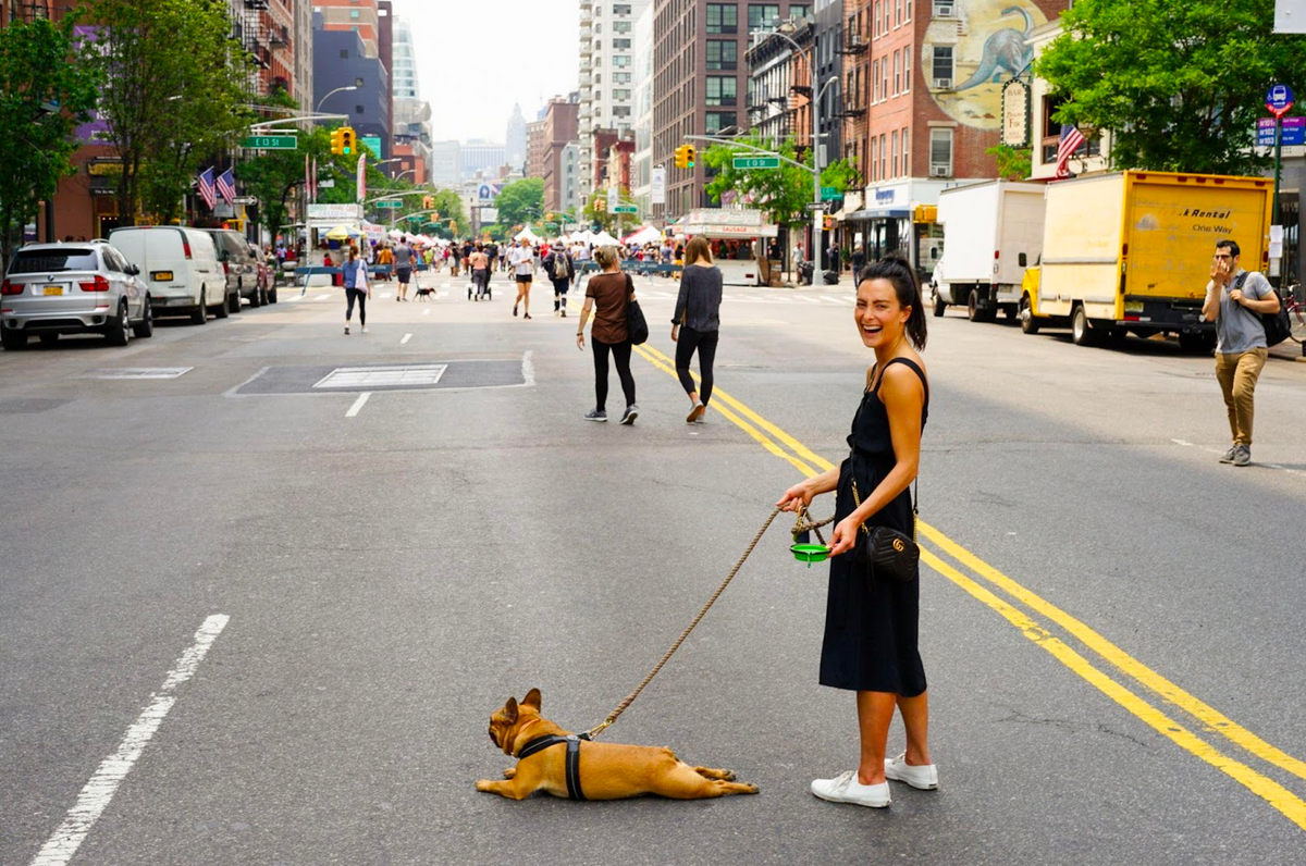 Health and safety tips to travel with dogs
