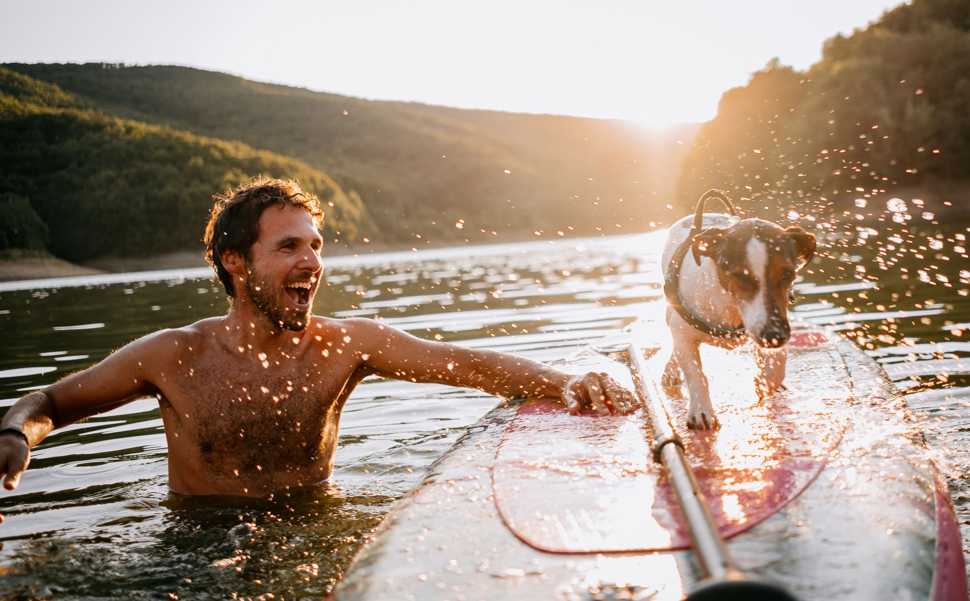 Keep Your Dog In Shape