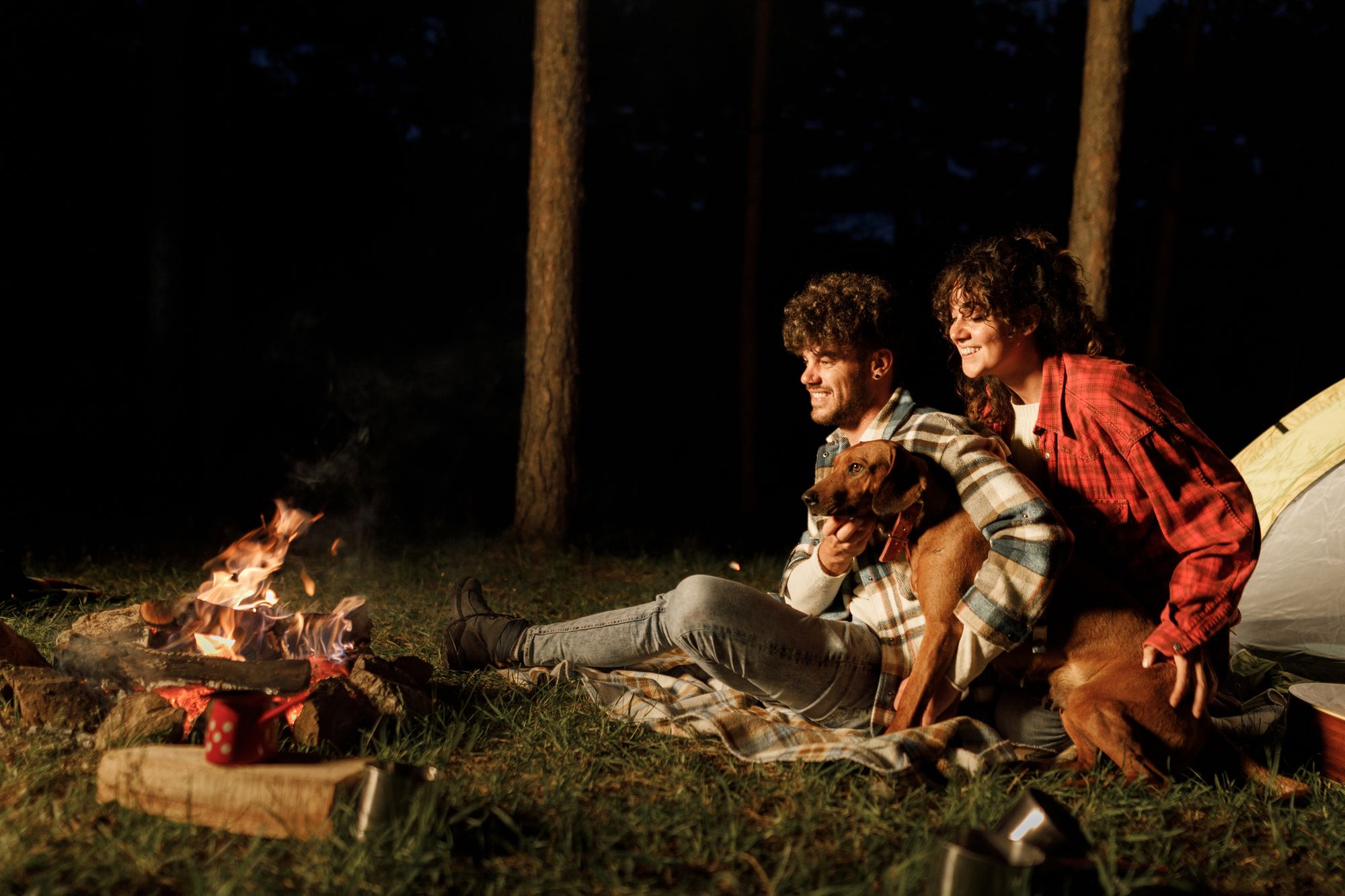 Mistakes while camping with your dog