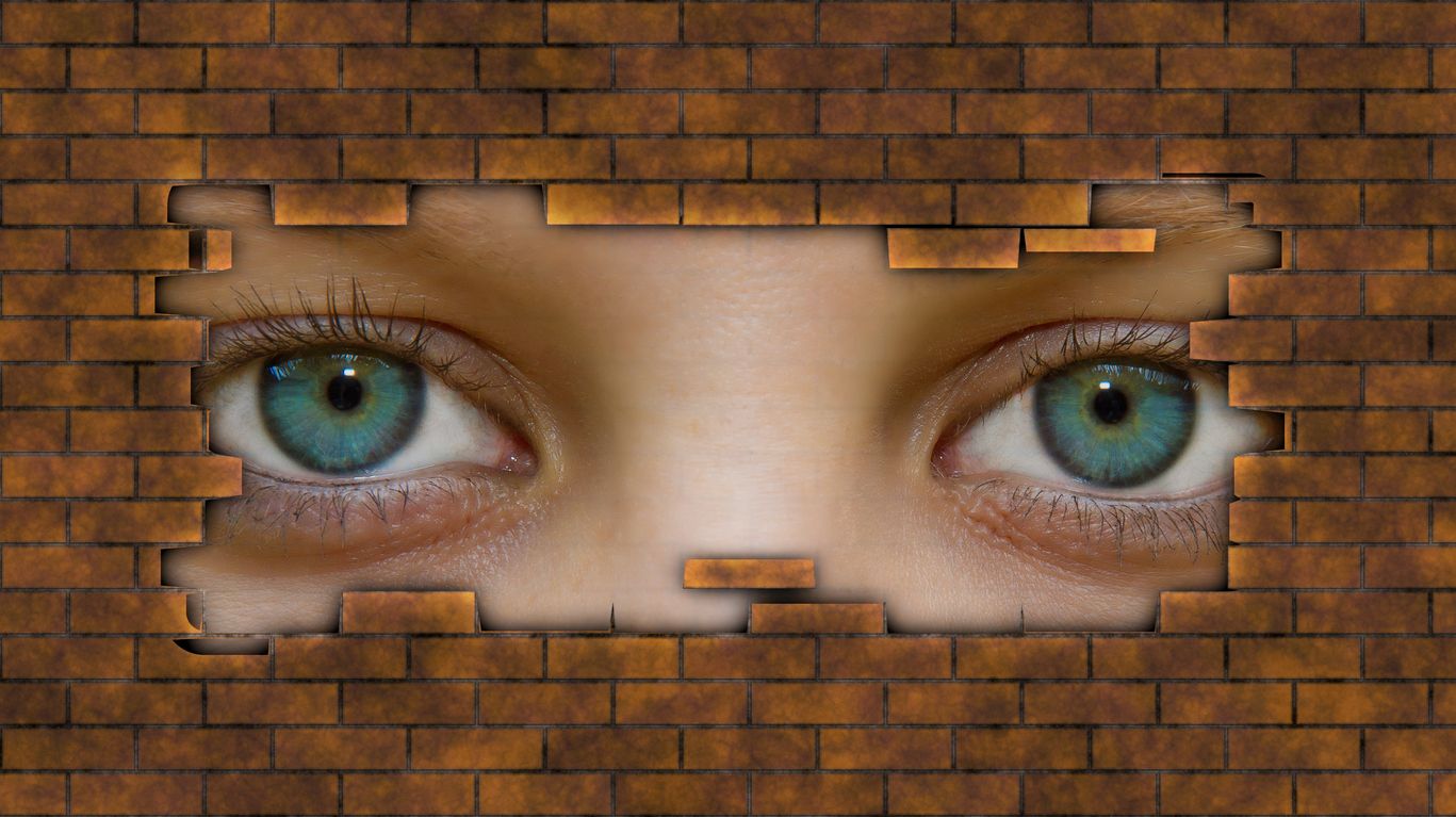See Through Walls
