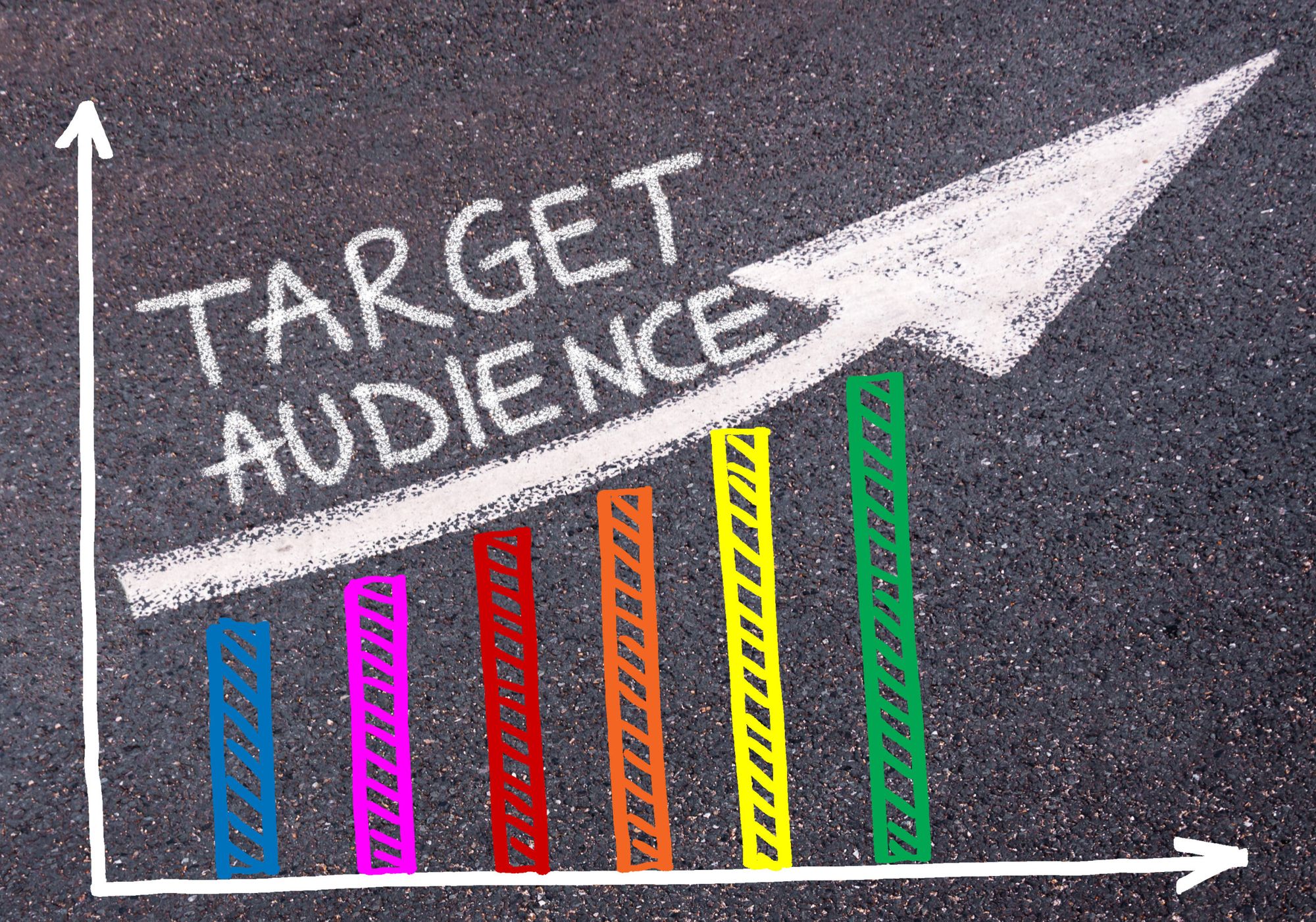 Target Audience