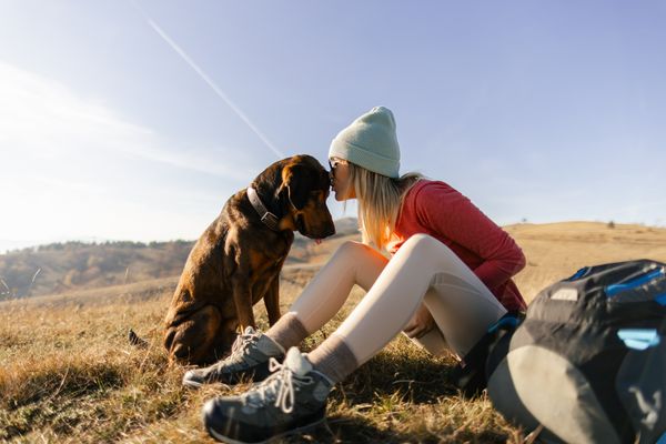 Dog-Friendly Hiking Trails
