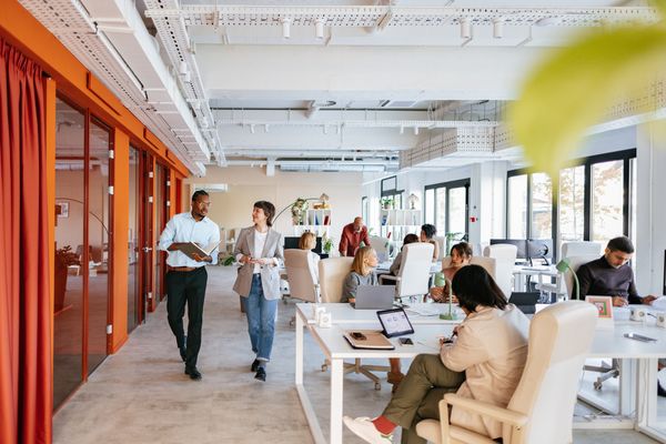 Employees in a Startup