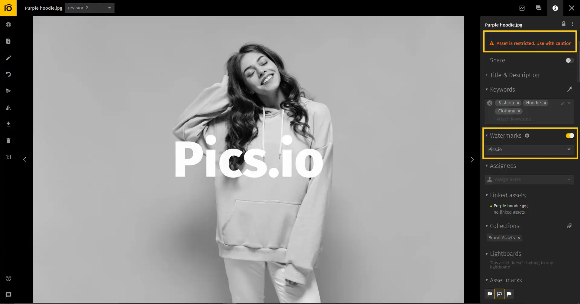 A screenshot of Pics.io's interface showing Watermarking and Restricted Access functionalities.