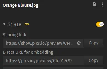 Pics.io. Shering file