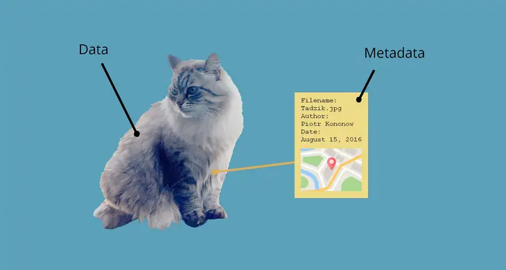 Metadata tagging strategy