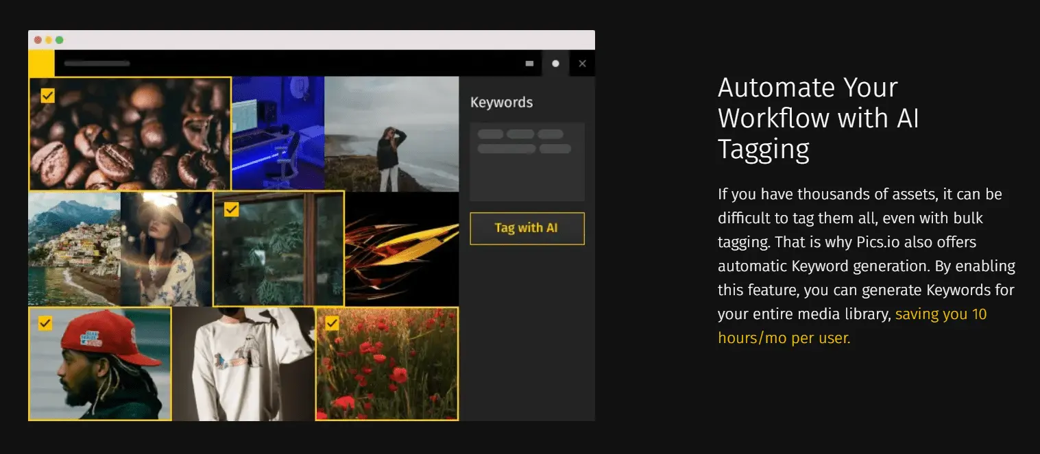 Pics.io DAM: AI keyword tagging