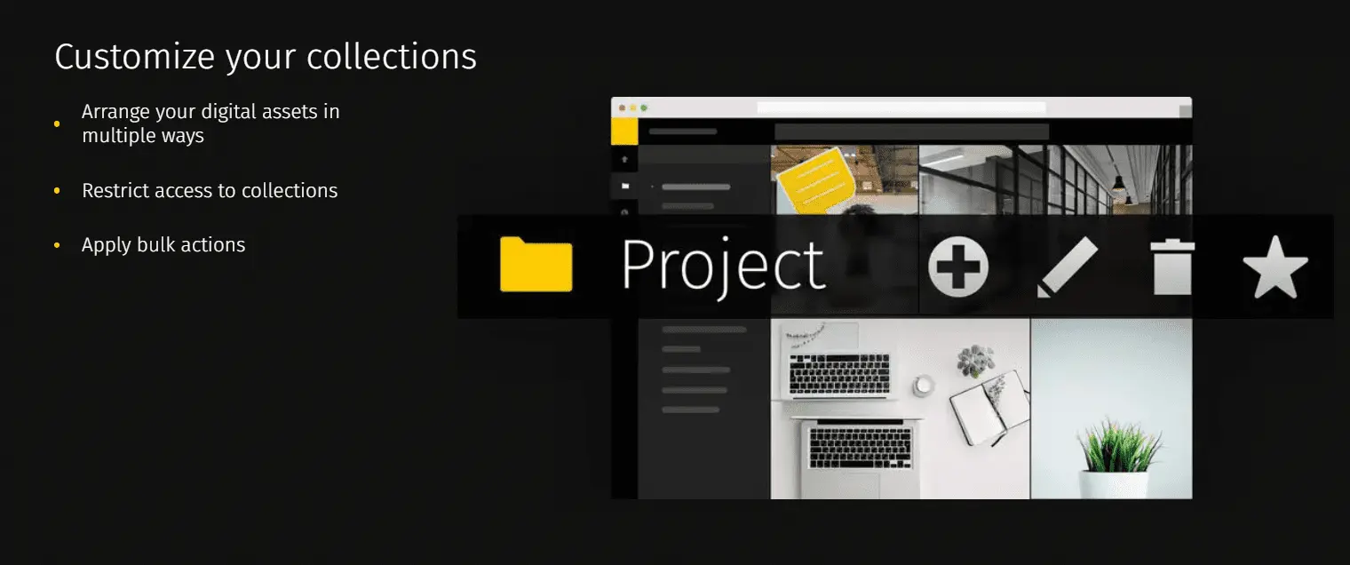 Pics.io DAM: folder structure