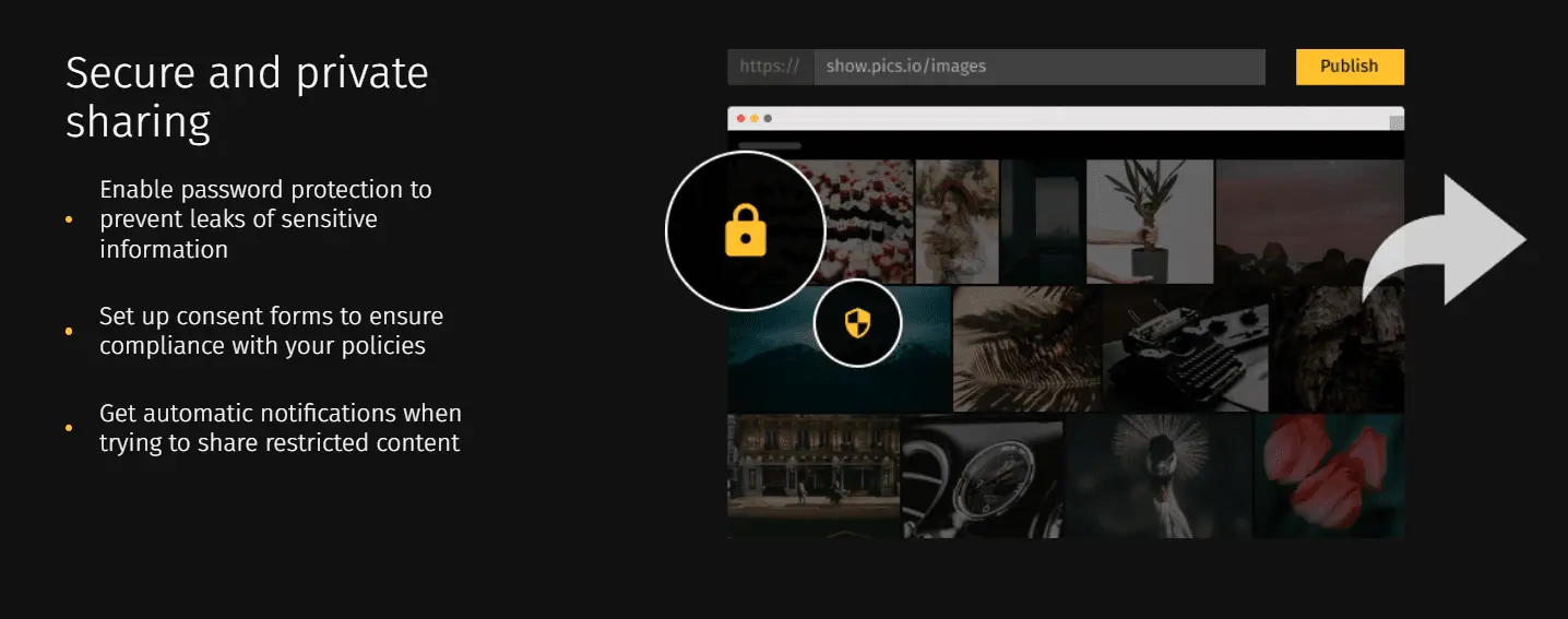 Pics.io DAM: secure file sharing