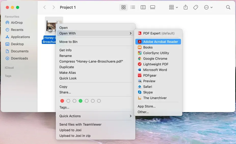 View PDF metadata in Adobe Acrobat