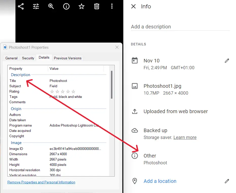 Google Takeout metadata