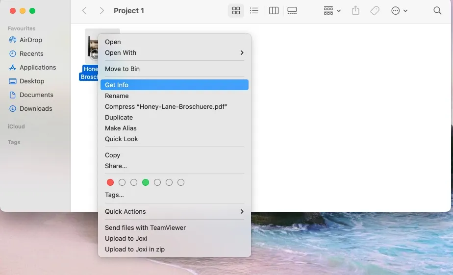 How to view PDF metadata on IOS