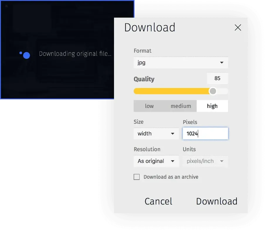 Pics.io DAM: how to change file format