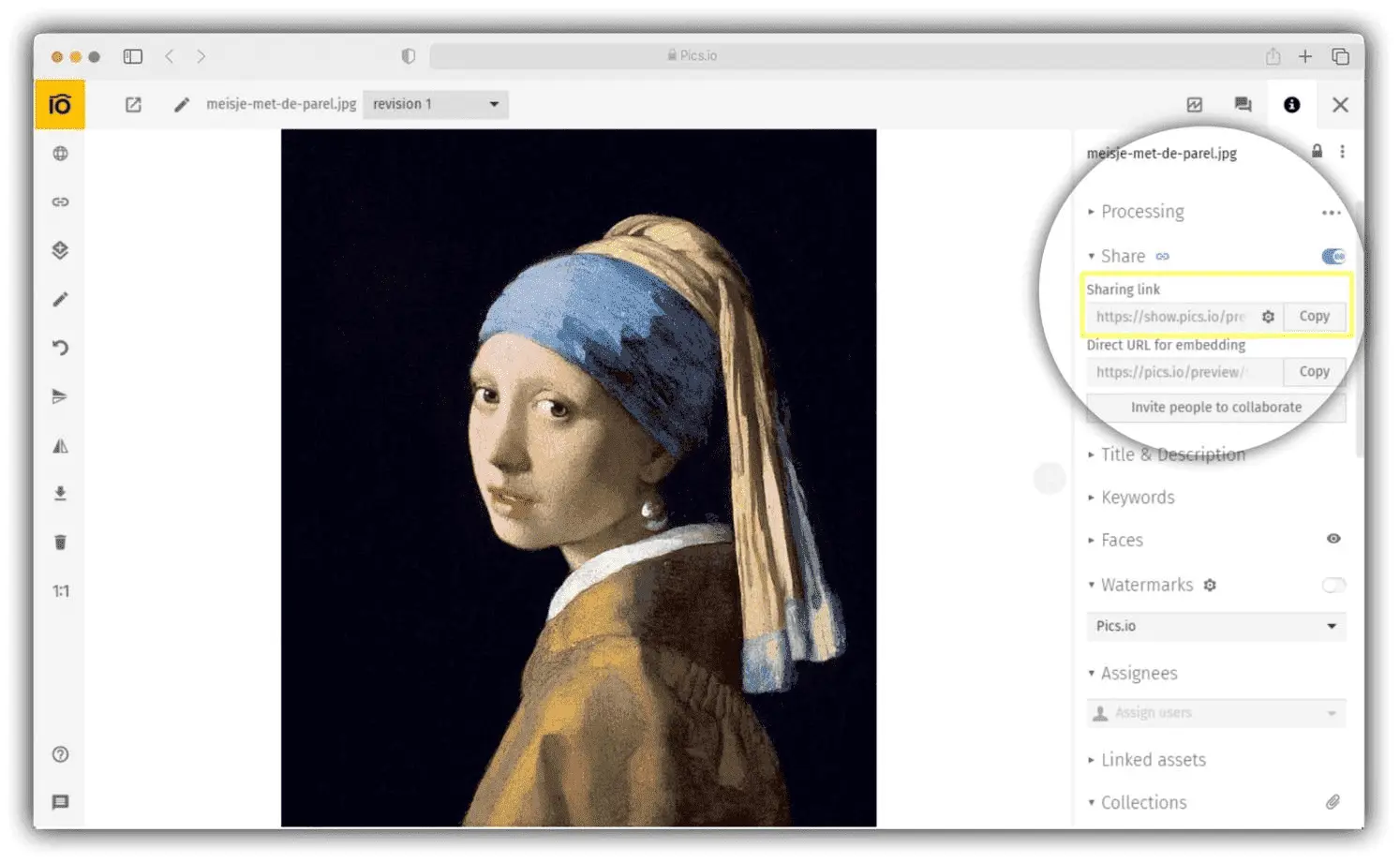 Creating an Image URL in Pics.io