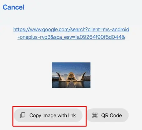 Get the URL of an Image