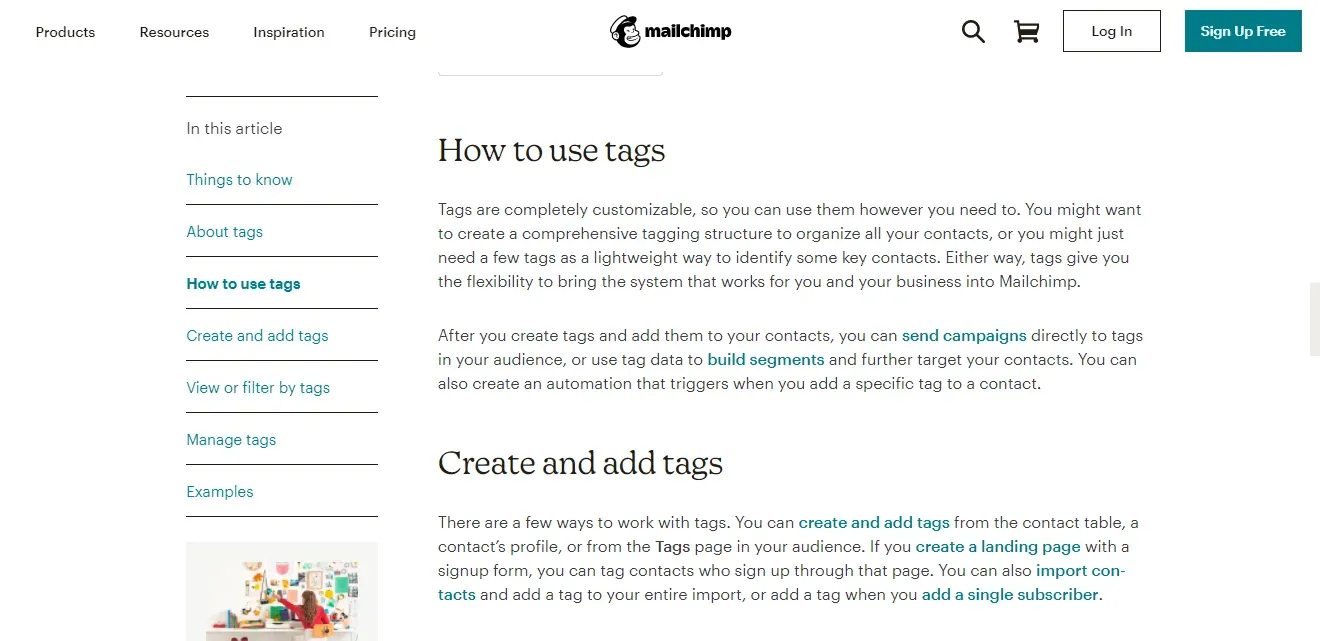 Mailchamp interface