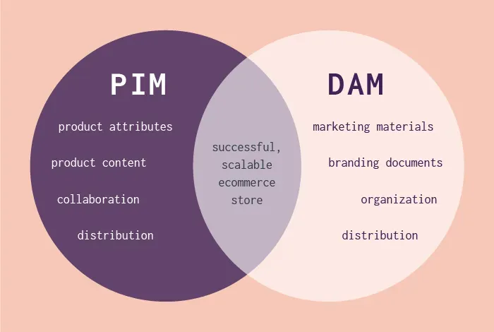 PIM and DAM