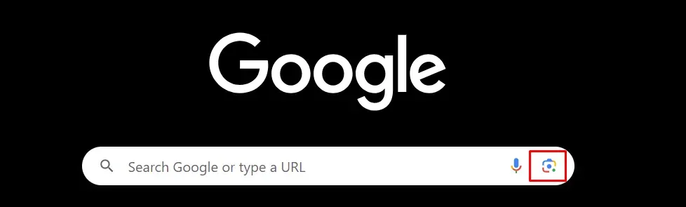 Google image copyright checker