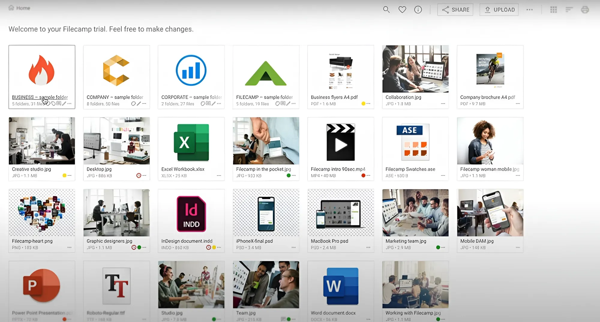 Filecamp DAM interface