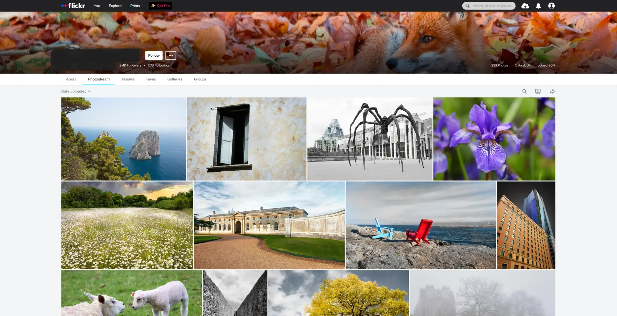 Screenshot of the Flickr dashboard