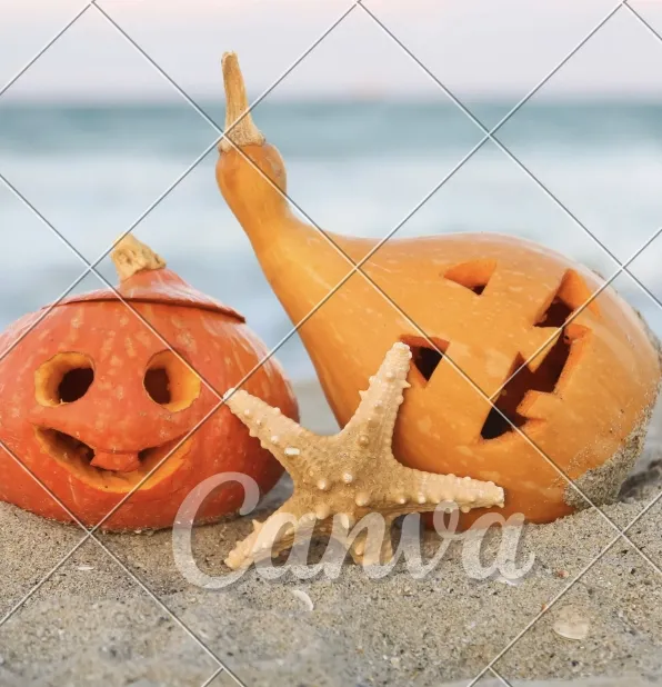 photo watermark example