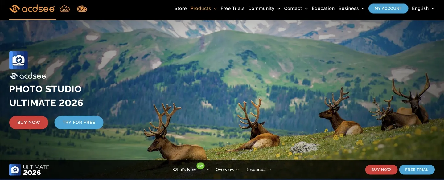 acdsee website