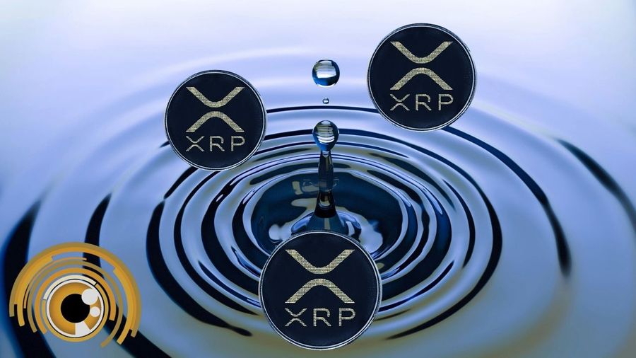 Ripples: Future Forecasters Week in Review (5/19/24)