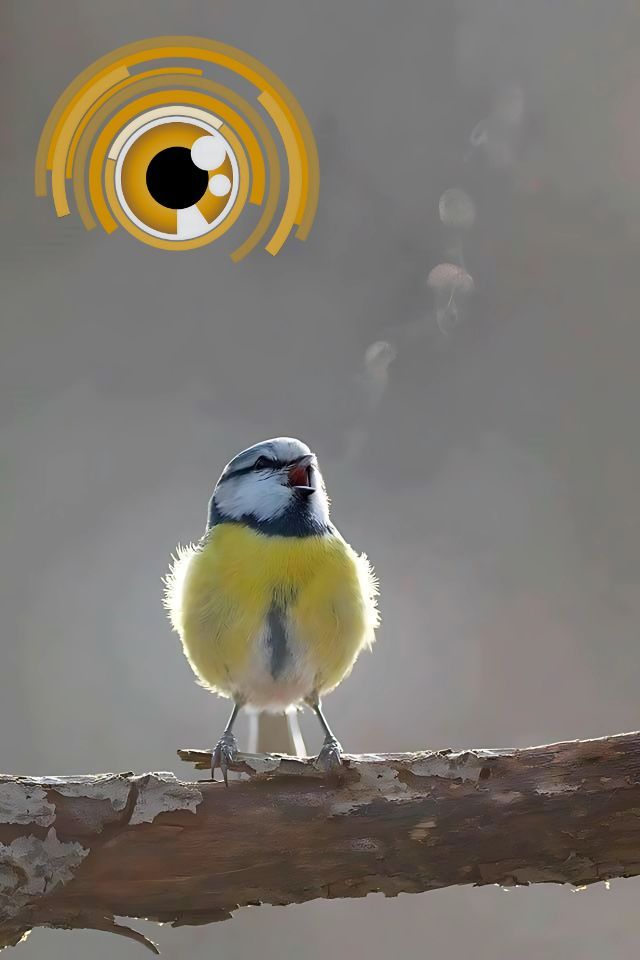 December's Finale: Future Forecasters Week In Review (11/24/2024)