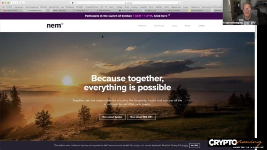 The NEM Blockchain: Your Digital Identity Prison or Liberation Tool?