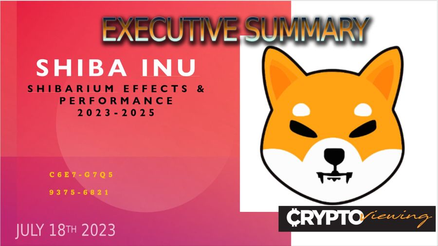 Shiba Inu Executive Debrief
