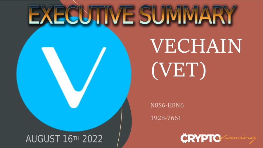 Executive Debrief for VeChain (VET) - 2022
