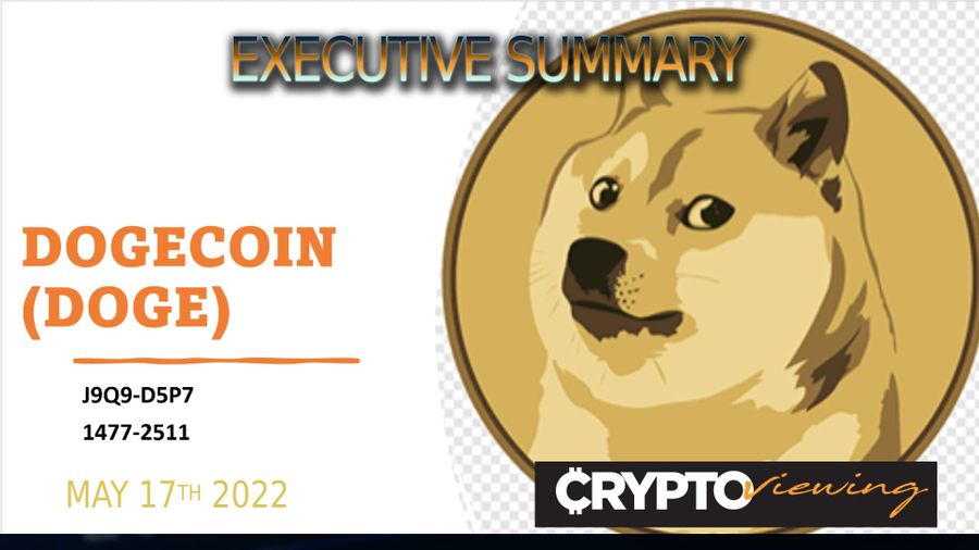 Dogecoin Executive Debrief (2022)