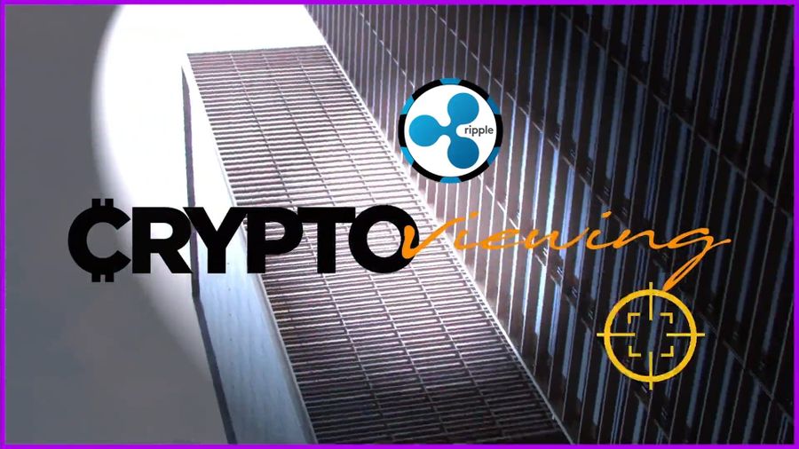 XRP Executive Debrief (2020): Banking Revolution Unveiled!