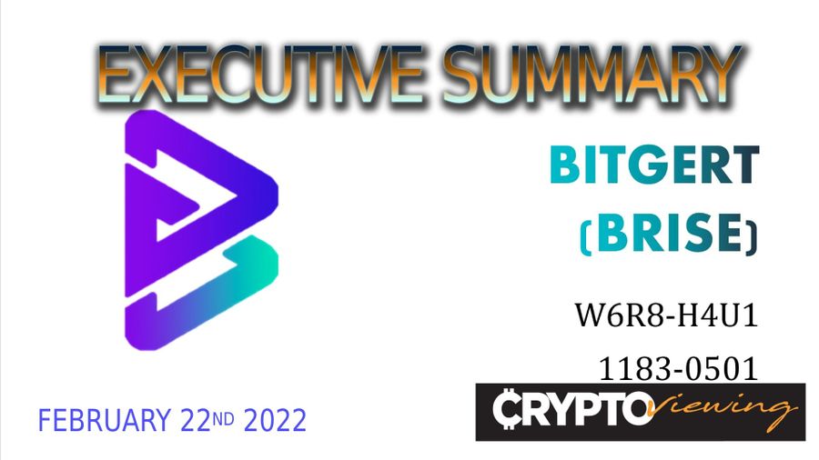 Executive Debrief for Bitgert: Red Flags Discovered