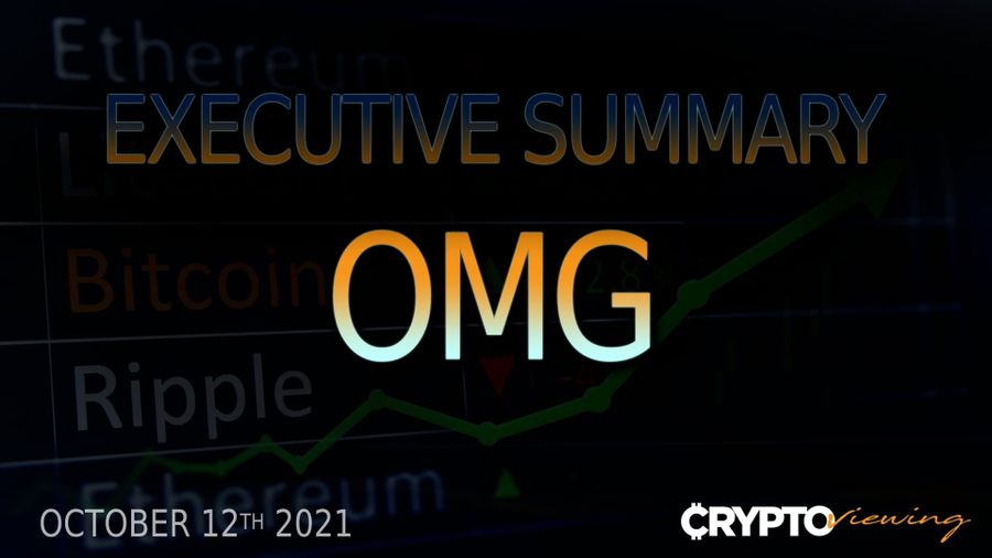 Executive Debrief for OMG Network (2021)