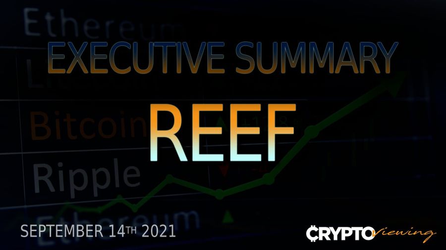 Reef Finance Executive Debrief