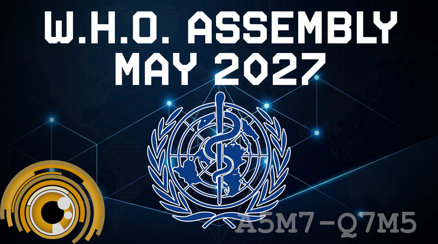 Remote Viewing the WHO's 2027 Vision for Humanity: The Public vs. Private Agenda