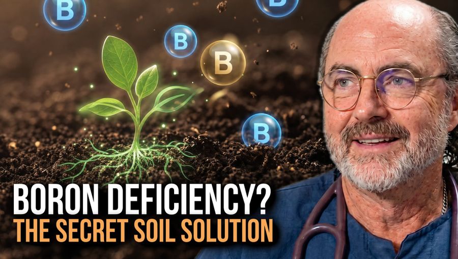 Dr. Scottie's Health Advantage: Your Boron Deficiency - And Why Soil is the Real Solution