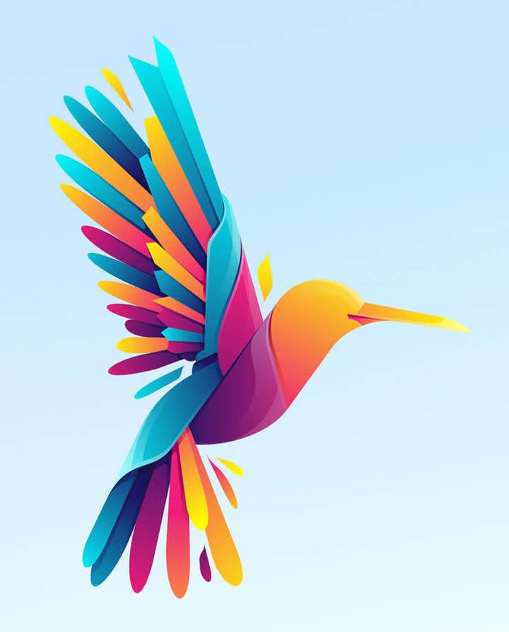 bird-thumbnail