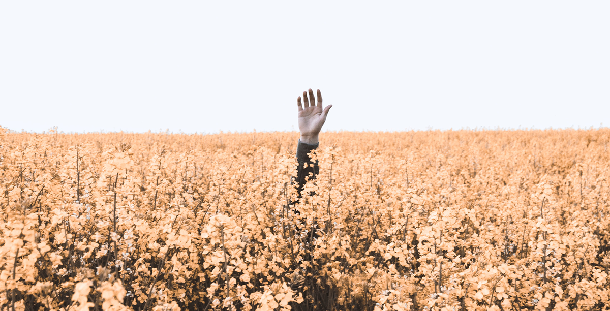 Even Followers Get Lost