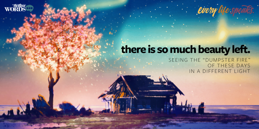 There Is So Much Beauty Left