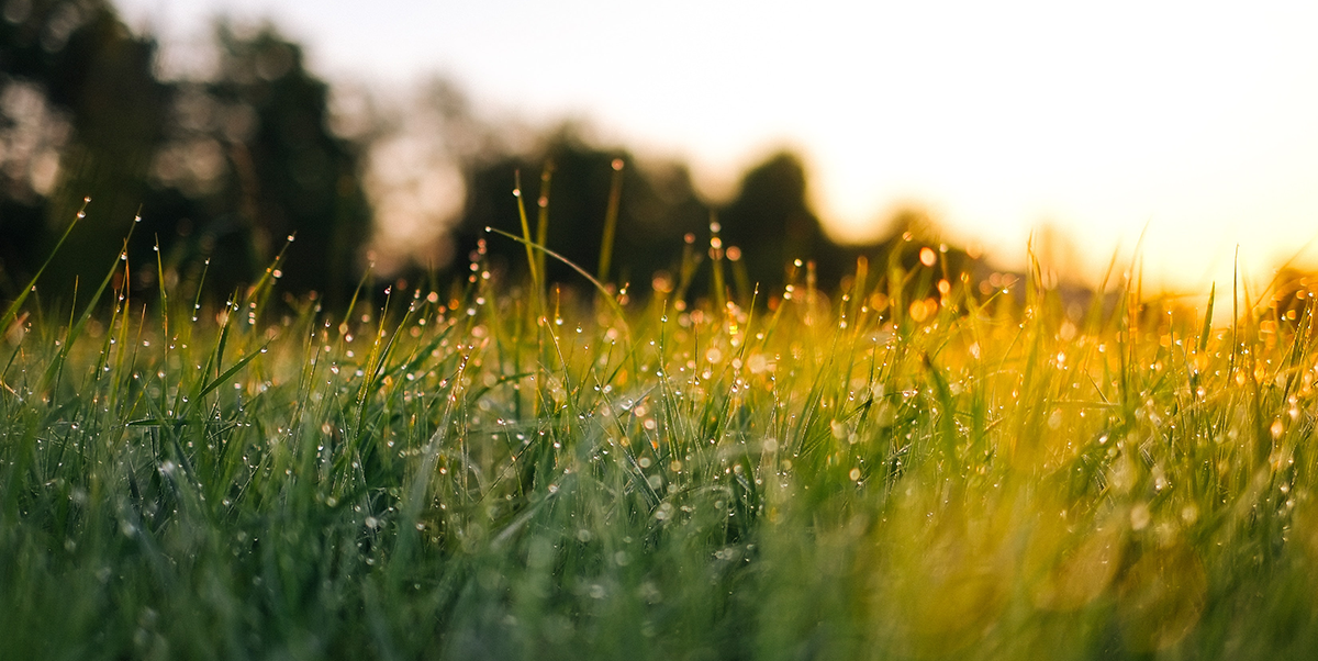 The Hunger for an Easter Coming