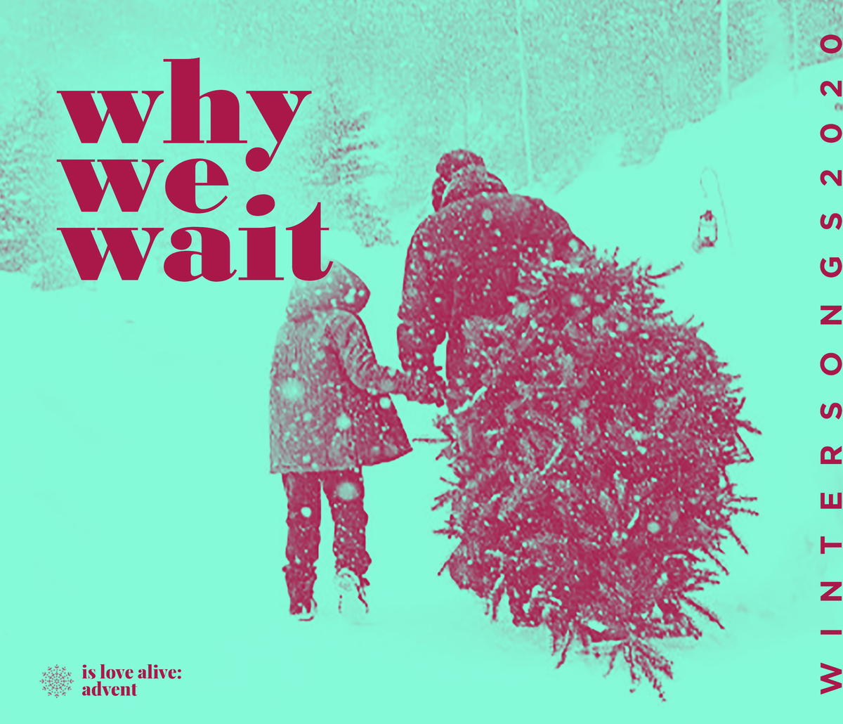Why We Wait: Advent #1