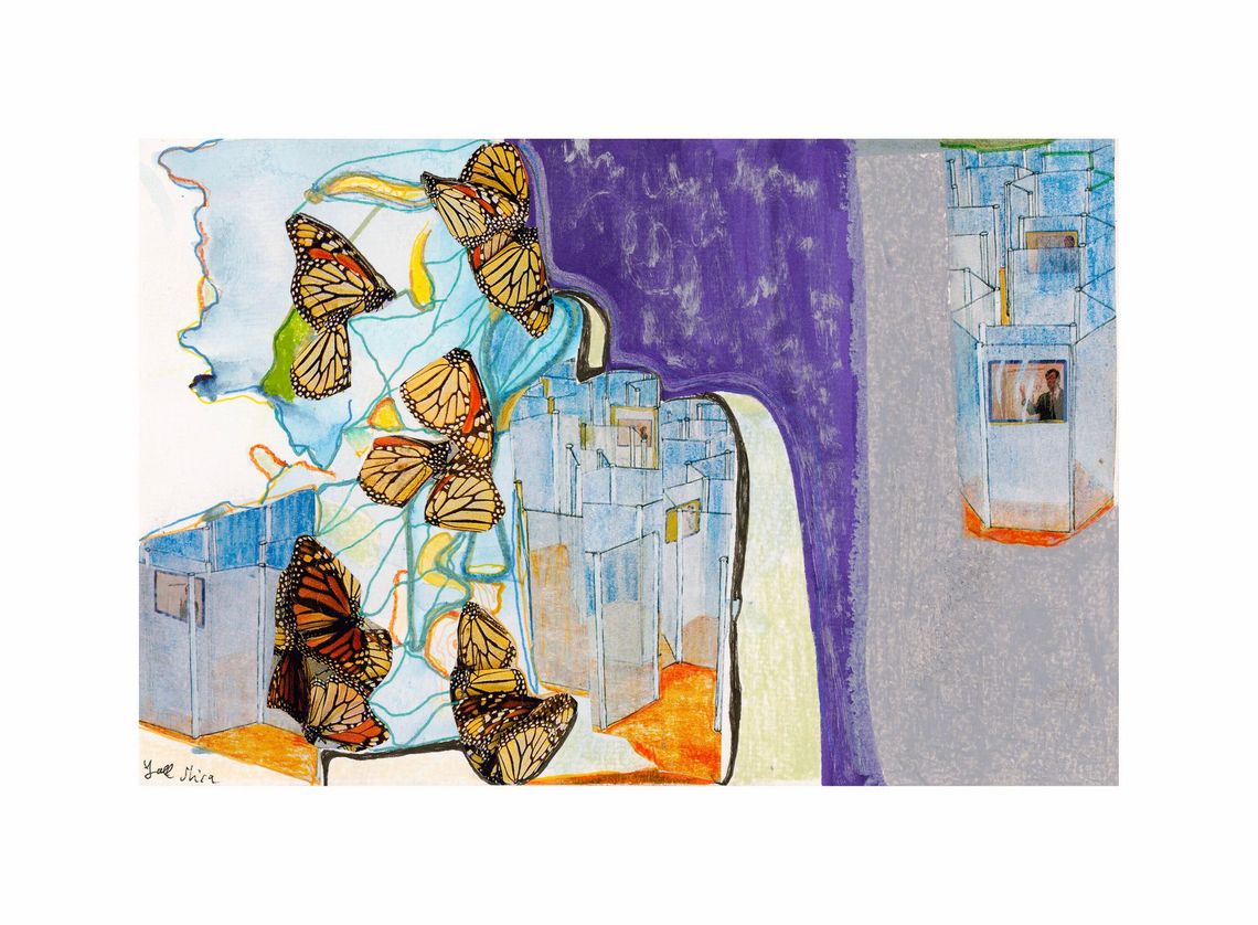 Butterflies I: The first flight