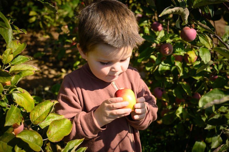 Information is so close!