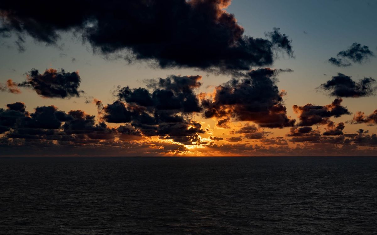 Cutting TikToks out of my life