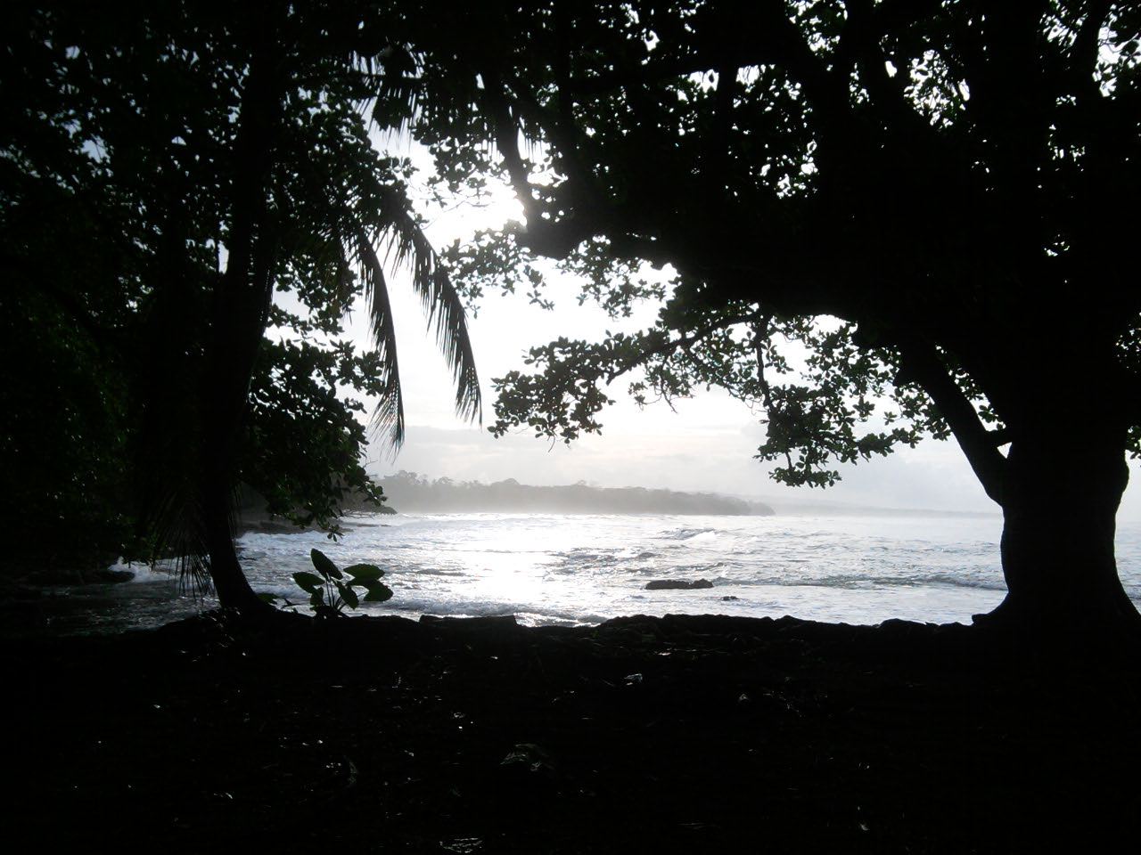 Cahuita Playa Negra