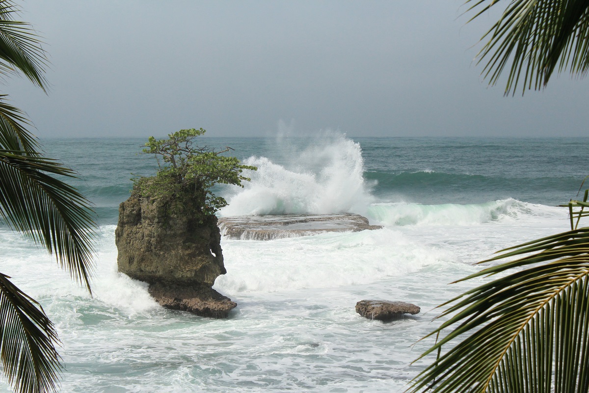 Manzanillo